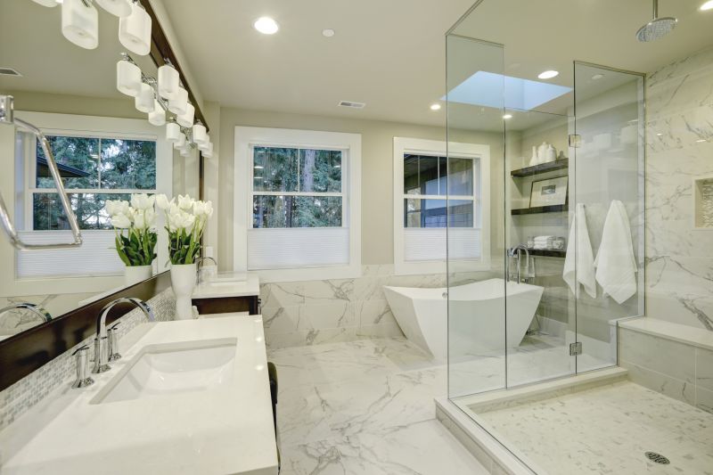 Bathtub to Shower Conversion