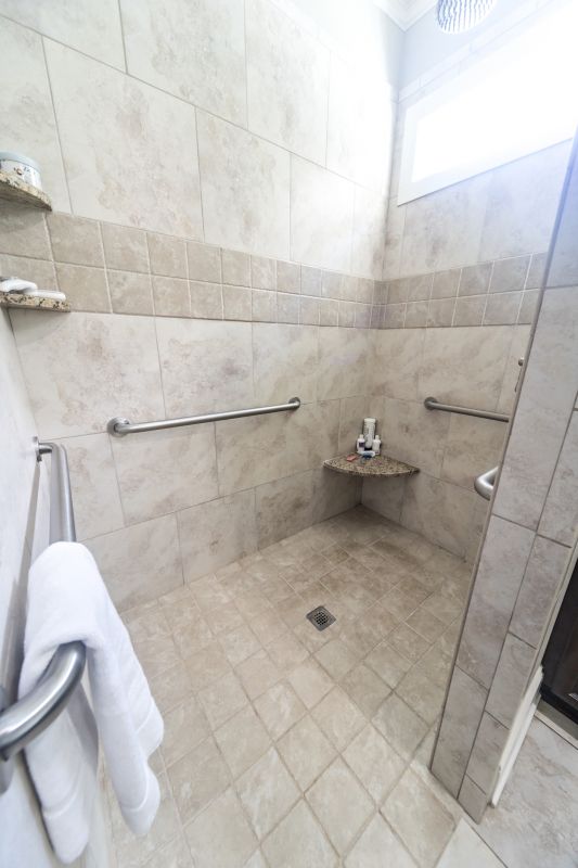 Custom Shower Features